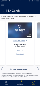 Screenshot of InComm's HSA app showing how to set a PIN number